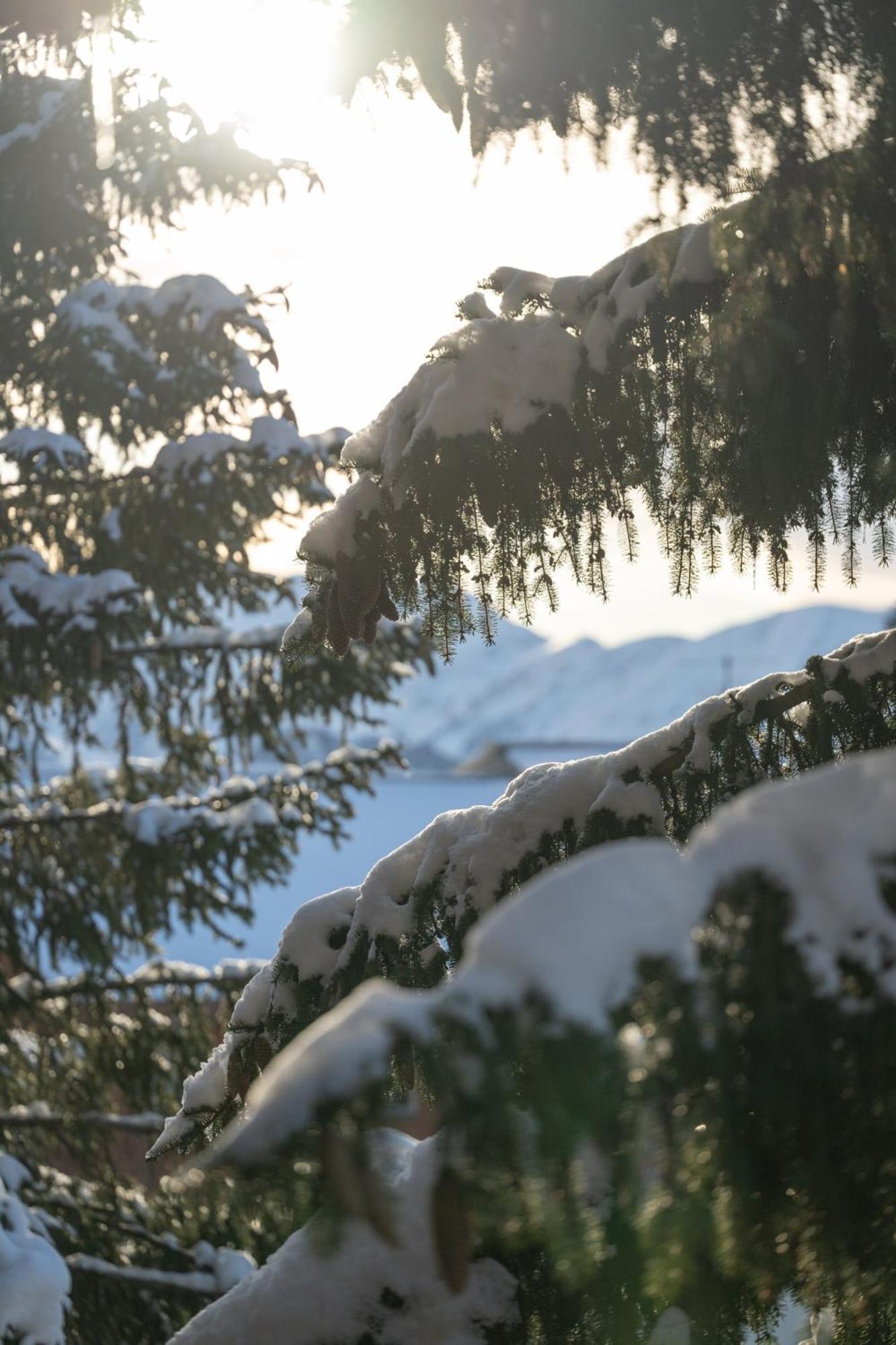 Chalet Alpe D'Huez 1850-Sea And Mountain Pleasure Avec 2 Appartements- 1 Appartement 3 Chambres 8 Couchages - 3 Salles D'Eau Et 1 Appartement 5 Chambres 12 Couchages 5 Salles D'Eau - Jacuzzi Et Sauna -Pieds Des Pistes Et Centre 외부 사진