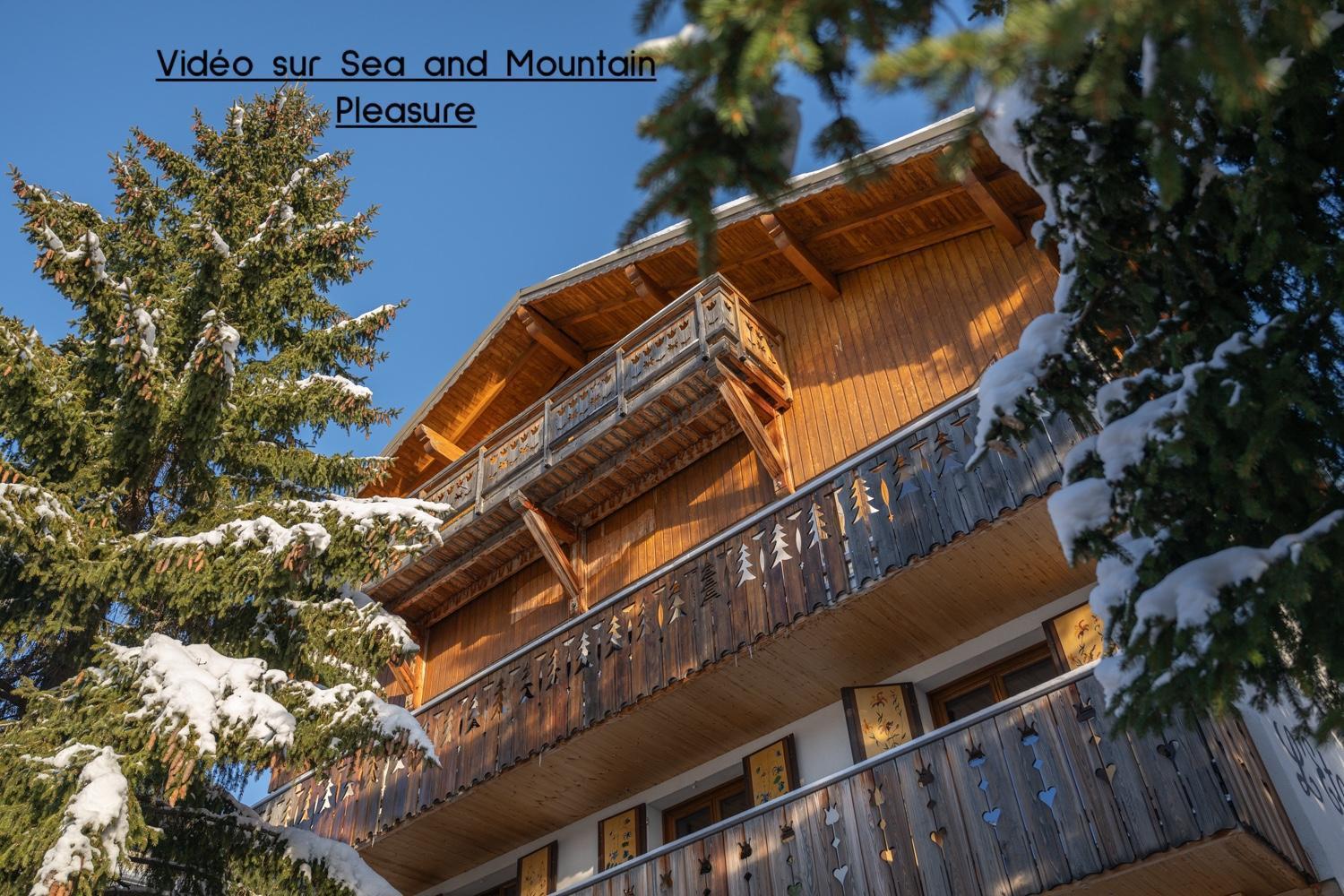Chalet Alpe D'Huez 1850-Sea And Mountain Pleasure Avec 2 Appartements- 1 Appartement 3 Chambres 8 Couchages - 3 Salles D'Eau Et 1 Appartement 5 Chambres 12 Couchages 5 Salles D'Eau - Jacuzzi Et Sauna -Pieds Des Pistes Et Centre 외부 사진