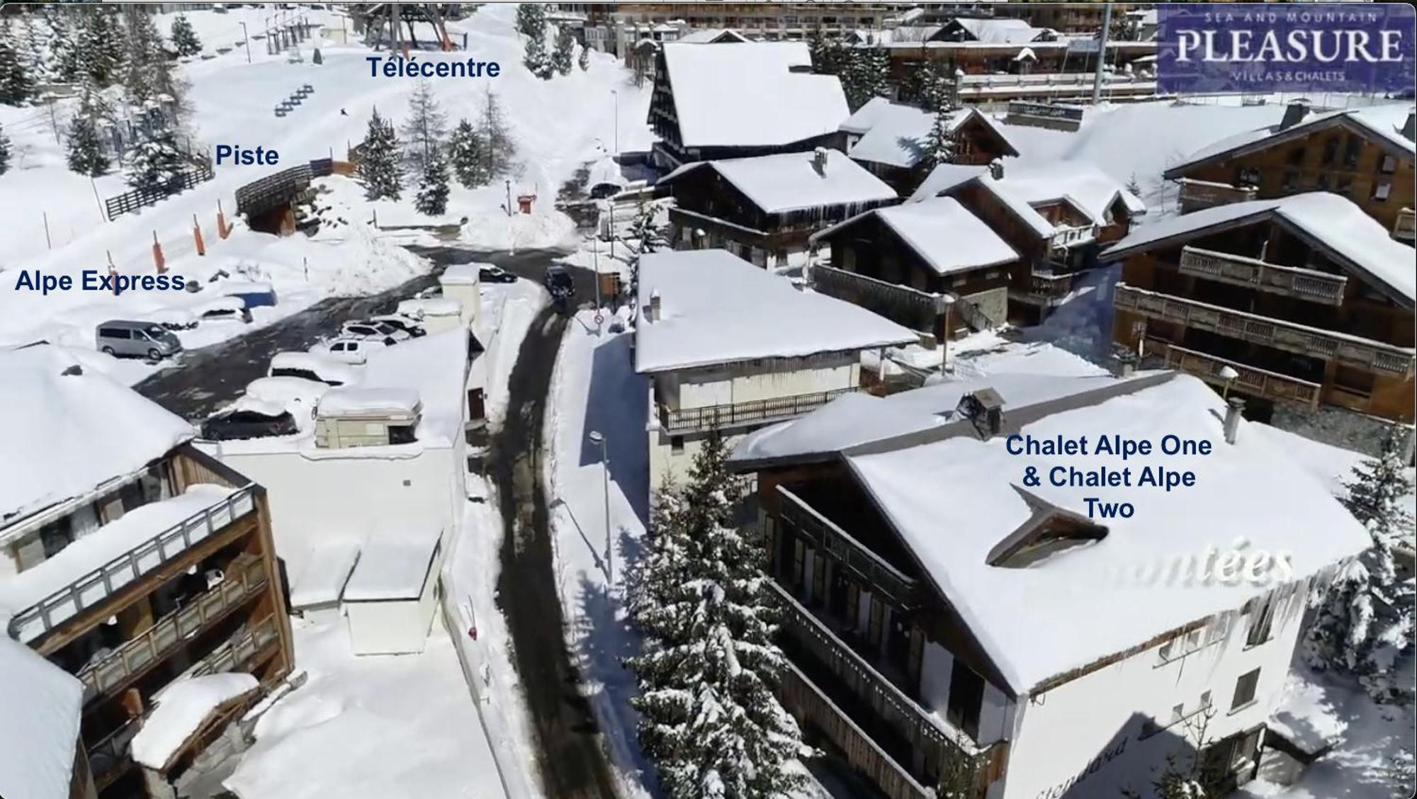 Chalet Alpe D'Huez 1850-Sea And Mountain Pleasure Avec 2 Appartements- 1 Appartement 3 Chambres 8 Couchages - 3 Salles D'Eau Et 1 Appartement 5 Chambres 12 Couchages 5 Salles D'Eau - Jacuzzi Et Sauna -Pieds Des Pistes Et Centre 외부 사진